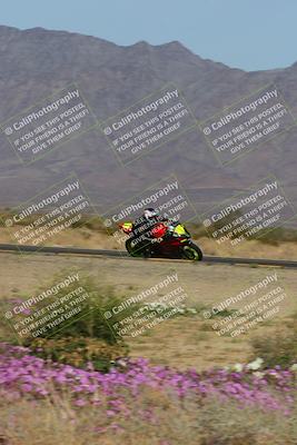 media/Feb-04-2023-SoCal Trackdays (Sat) [[8a776bf2c3]]/Turn 15 Inside Blooming (1050am)/